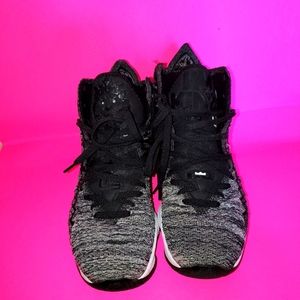 Lebron 17' In The Arena